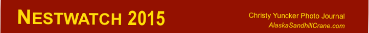 Site Title