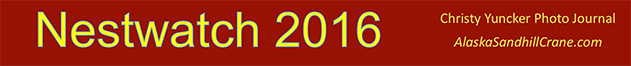 Site Title